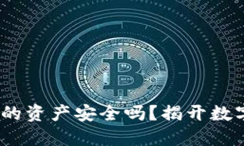 卸载TP钱包后，你的资产安全吗？揭开数字钱包的那些秘密