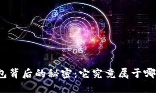 数字钱包背后的秘密:它究竟属于哪个币种?
