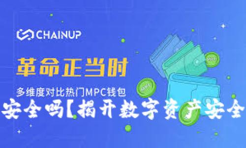 TP数字钱包安全吗?揭开数字资产安全的神秘面纱
