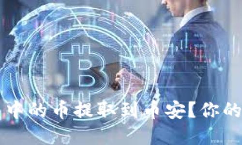 如何轻松将TP钱包中的币提取到币安?你的数字资产管理指南