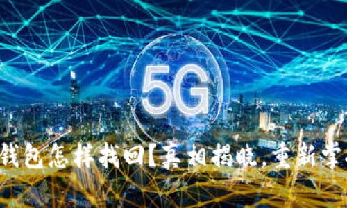 失去的数字钱包怎样找回?真相揭晓,重新掌控你的财富!