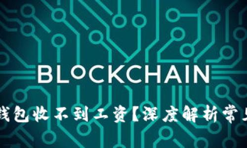 为什么你的数字钱包收不到工资?深度解析常见问题与解决方案
