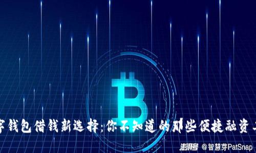 数字钱包借钱新选择:你不知道的那些便捷融资工具