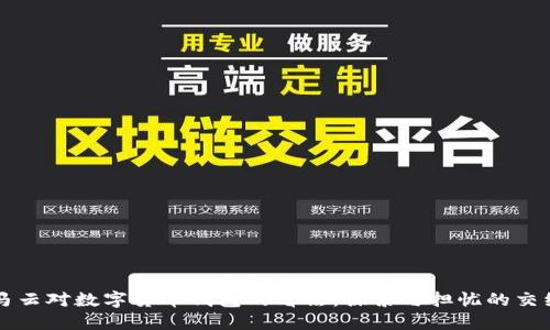马云对数字货币钱包的看法:探索与担忧的交织
