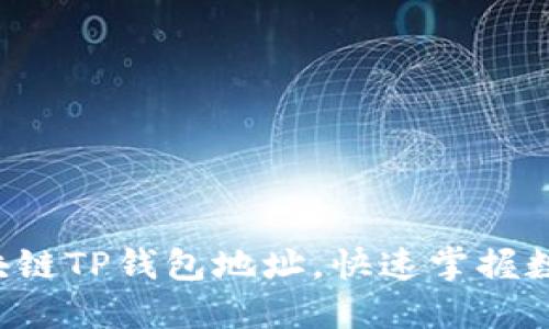 轻松查询区块链TP钱包地址，快速掌握数字资产动向！