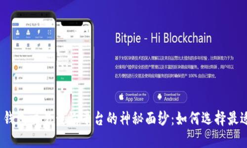 揭开加密货币钱包交易查询平台的神秘面纱：如何选择最适合你的工具？