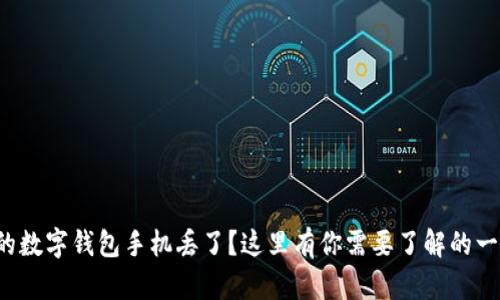 你的数字钱包手机丢了?这里有你需要了解的一切!