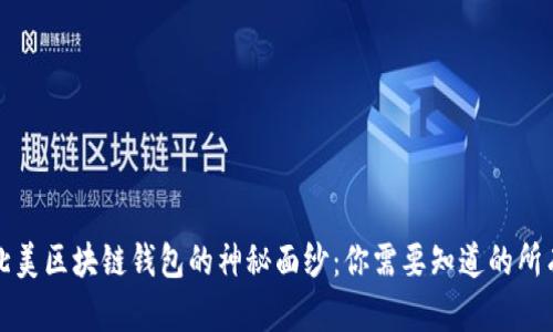 揭开北美区块链钱包的神秘面纱:你需要知道的所有信息