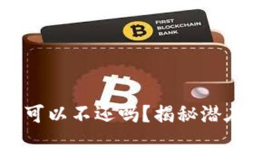 数字钱包真的可以不还吗?揭秘潜在风险与责任!