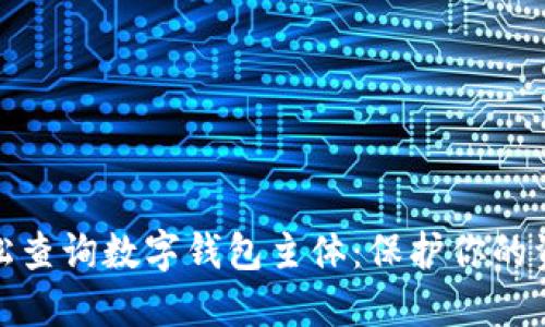 如何轻松查询数字钱包主体：保护你的资产安全