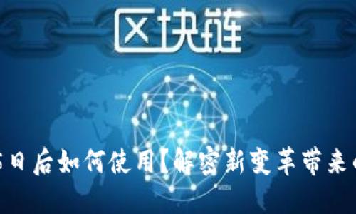 TP钱包11月5日后如何使用?解密新变革带来的机遇与挑战