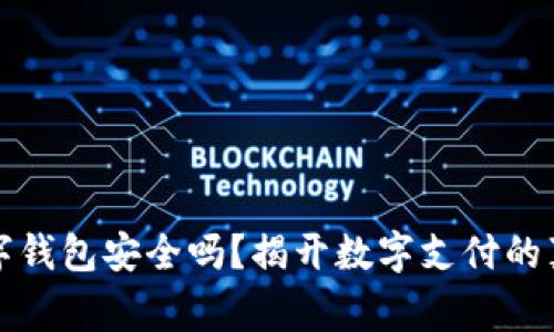 国家数字钱包安全吗?揭开数字支付的真实面纱