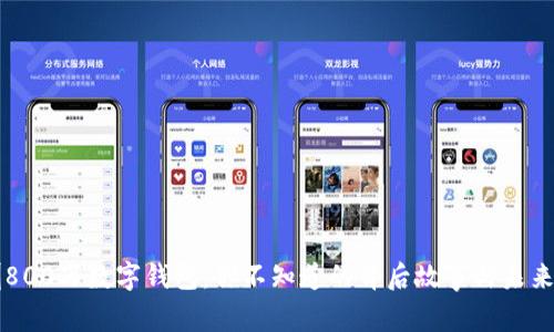 深圳800万数字钱包：你不知道的背后故事与未来展望