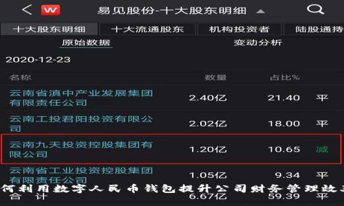 如何利用数字人民币钱包提升公司财务管理效率？