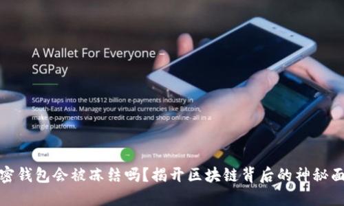 加密钱包会被冻结吗?揭开区块链背后的神秘面纱