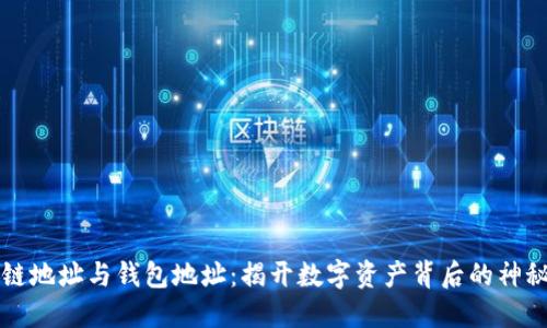 区块链地址与钱包地址:揭开数字资产背后的神秘面纱