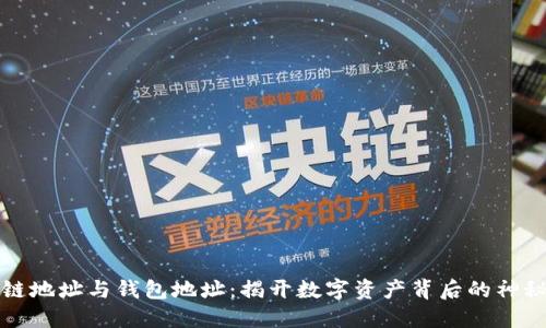区块链地址与钱包地址:揭开数字资产背后的神秘面纱