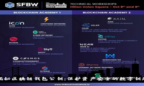 揭秘区块链钱包公钥:保护资产安全的数字钥匙