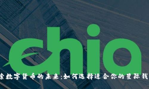 探索数字货币的未来:如何选择适合你的星际钱包?