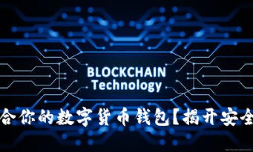 如何选择最适合你的数字货币钱包?揭开安全与便利的秘密