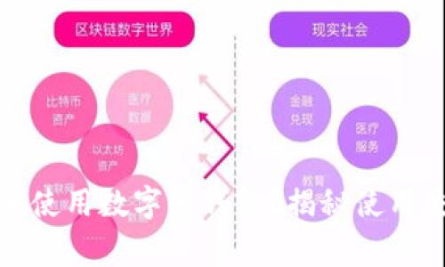 如何安全高效地使用数字币钱包?揭秘使用流程与注意事项
