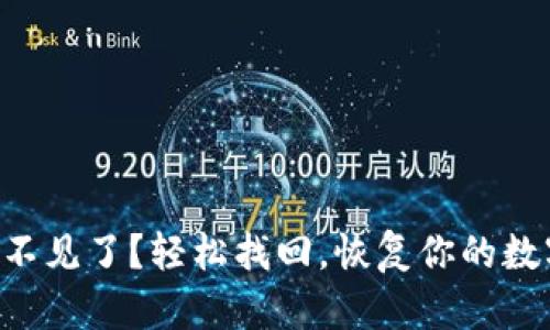 “TP钱包不见了？轻松找回，恢复你的数字资产！”