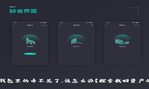 当你的TP钱包里的币不见了，该怎么办？探索找回资产的心路历程
