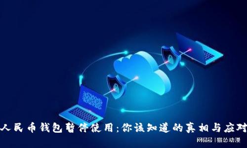 数字人民币钱包暂停使用：你该知道的真相与应对策略