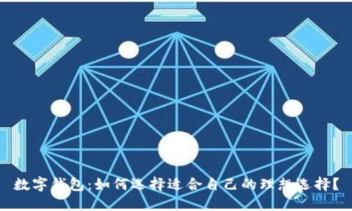 数字钱包：如何选择适合自己的理想选择？