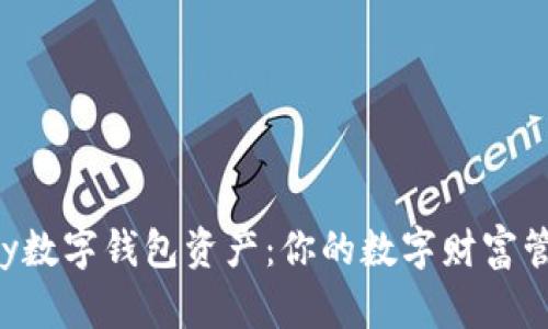 探索kapay数字钱包资产：你的数字财富管理新选择