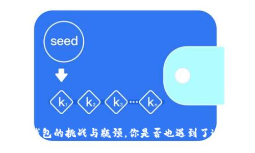 区块链钱包的挑战与瓶颈，你是否也遇到了这些难题？