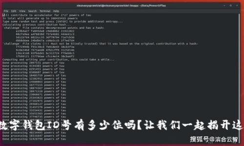 你知道数字钱包ID号有多少位吗?让我们一起揭开这个秘密!