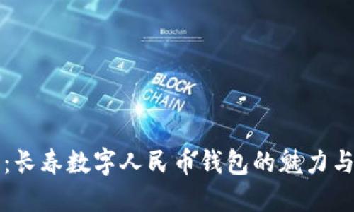 拥抱未来：长春数字人民币钱包的魅力与实用指南