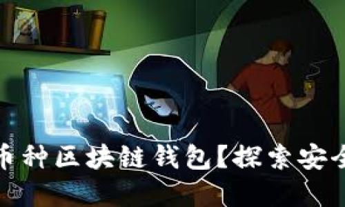 如何选择适合自己的多币种区块链钱包？探索安全性与便捷性的完美平衡