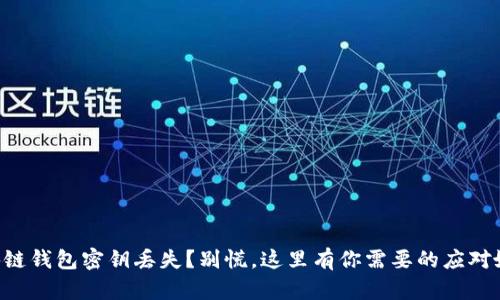 区块链钱包密钥丢失?别慌,这里有你需要的应对妙招!