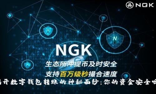 揭开数字钱包转账的神秘面纱：你的资金安全吗？