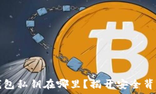  
你的TP钱包私钥在哪里？揭开安全背后的秘密
