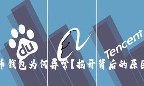 你的数字货币钱包为何异常？揭开背后的原因与解决方案