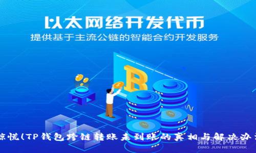 惊慌!TP钱包跨链转账未到账的真相与解决办法