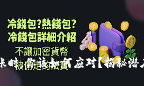 当TP钱包无法转账时,你该如何应对?揭秘潜在原因与解决方案