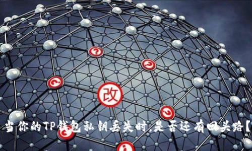 当你的TP钱包私钥丢失时，是否还有回头路？