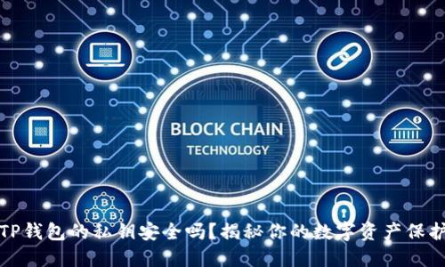TP钱包的私钥安全吗？揭秘你的数字资产保护