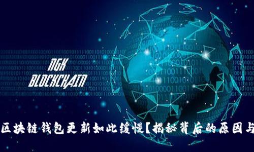 为何你的区块链钱包更新如此缓慢？揭秘背后的原因与解决方案
