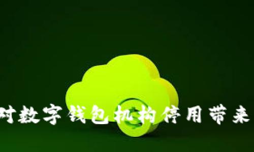 怎样应对数字钱包机构停用带来的困扰？