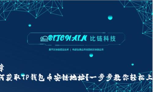 文章  
如何获取TP钱包币安链地址？一步步教你轻松上手！