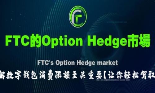 为什么了解数字钱包消费限额至关重要？让你轻松驾驭资金管理！