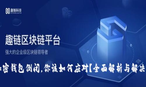 当加密钱包倒闭，你该如何应对？全面解析与解决方案