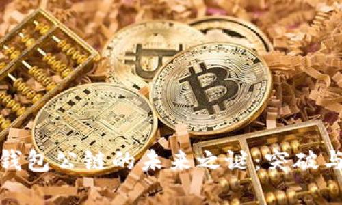 揭开数字钱包公链的未来之谜：突破与机遇并存