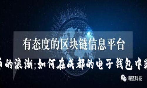 数字货币的浪潮：如何在成都的电子钱包中乘风破浪