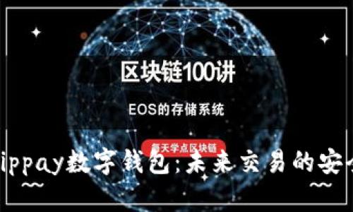 解密Vippay数字钱包：未来交易的安全之选